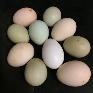 natürlich bunte eier